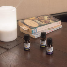 Load image into Gallery viewer, Organic Peppermint Essential Oil from Canada
